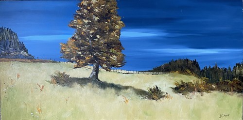 Paysage haut forez grand - paysage,