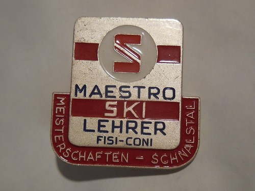 Badge moniteur ski - de, fisi