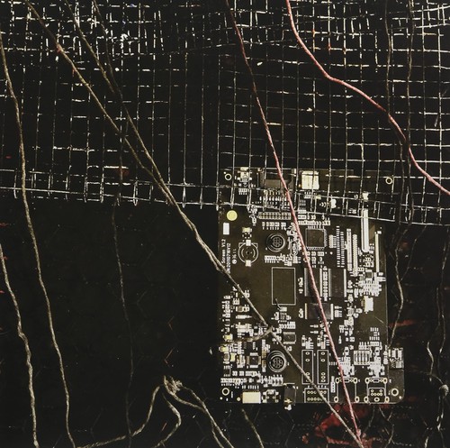 Merzbow prurient black crows - /,