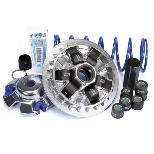 241703 variateur polini - 241703,
