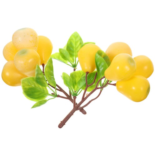 Pcs modèle fruit fruits - modèle,