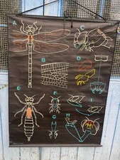 Affiche Ancienne Scolaire