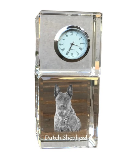 Hollandais chien berger - chien,