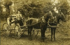 USA carriage pulled by two