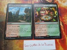Cartes magic : 2 terrain