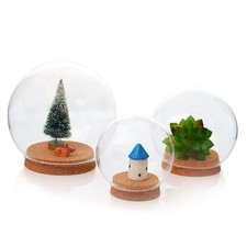 Verre Globe Cloche  Pot D'affichage Vase En Bois Base Pour  Rose De Mariage