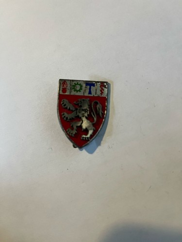 Insigne badge pucelle - insigne, e