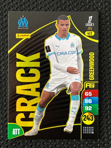 Card carte panini - panini, xl