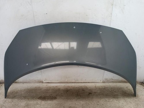 Capot renault scenic phase - capot, 2