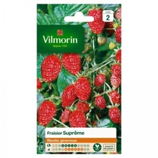 Vilmorin - Fraisier 4 Saisons Suprême