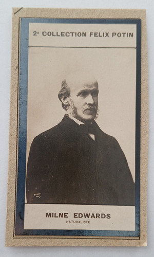 1908 milne edwards naturaliste - edwards,
