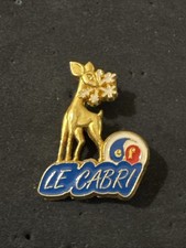 Pin’s Insigne Ski ESF Le