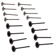16pcs Intake & Exhaust Valve