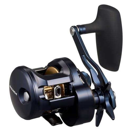 Daiwa saltiga 300hl - 25,