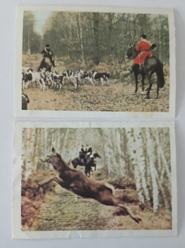 Chasse courre 1967 - ,