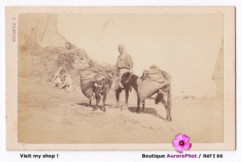 Algérie marchands bois - de,