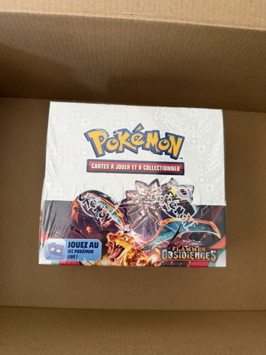 Display pokémon ev3 flammes - display,