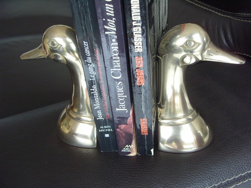 Serre livres modernes bronze - modernes,