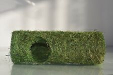 Vivarium Terrarium Reptile Naturel Tropical Tunnel Environ 23 CM Araignée Snakes