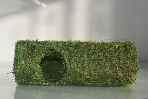 Vivarium terrarium reptile - terrarium,