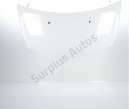 Capot 7751476113 renault - capot,