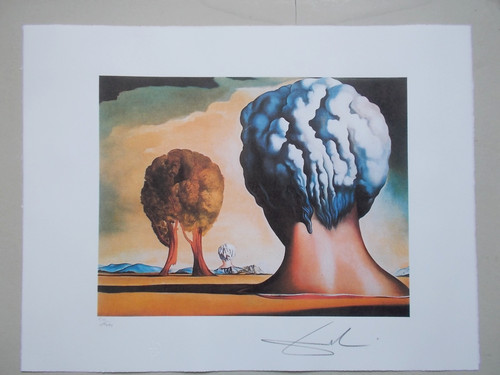 Lithographie salvador dali - ,,