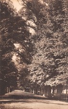 ROYAUME UNI OXFORD CHRIST CHURCH AVENUE