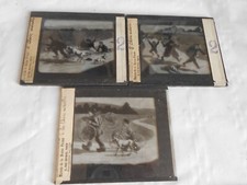 1920s Magic lantern slides Bicycle and goat attack french