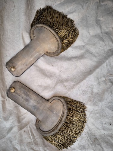Paire épaulettes dorée