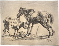Karel ou Carel Dujardin