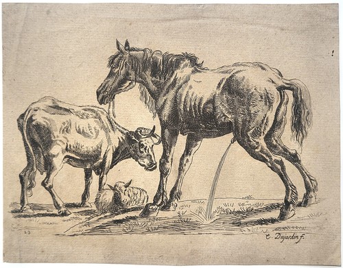Karel carel dujardin - ou,