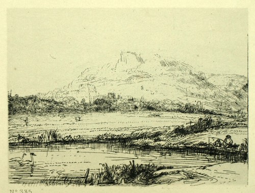 Canal avec les cygnes - le,
