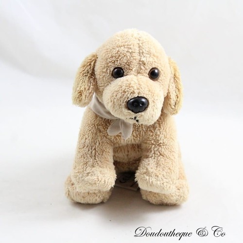 Peluche labrador chien - , les