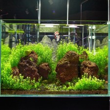 Décoration plongeur fish tank - décoration,