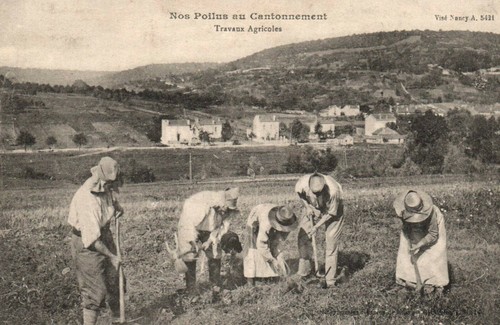 Cpa militaria nos poilus - poilus, au
