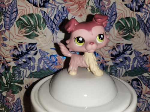 Littlest petshop colley dog - littlest,