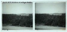 ALGÉRIE Oasis El Kantara PHOTO c1925 sur Plaque de verre Vintage VLn
