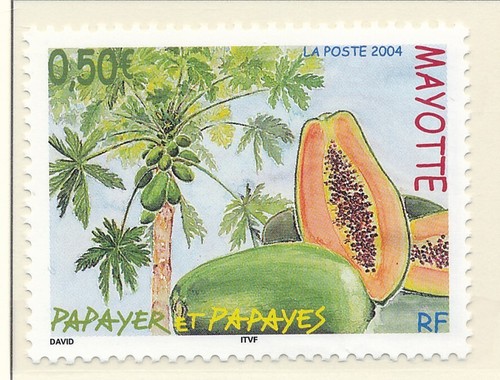 Timbre mayotte 164 neuf sans - 164**,