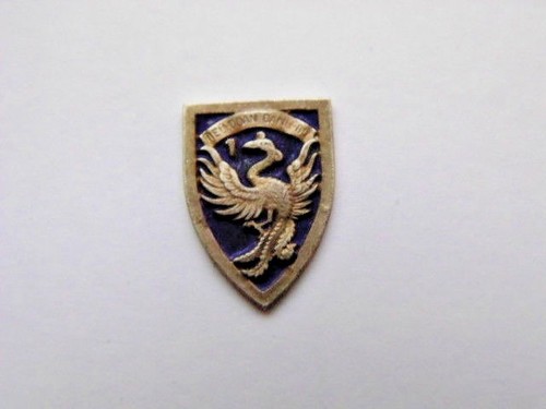 Insigne miniature indochine - insigne,