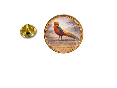 Pins pin badge - badge, oiseau