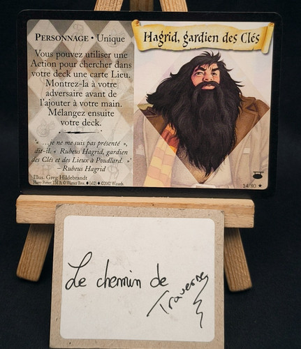 Carte harry potter - potter, hagrid