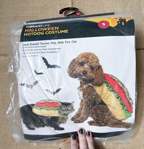 Vibrant life halloween - halloween, dog
