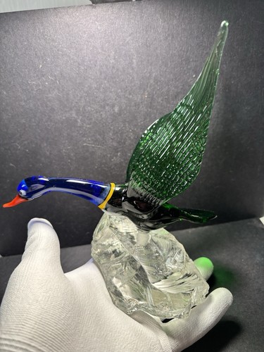 Canard oiseau animal verre - en,