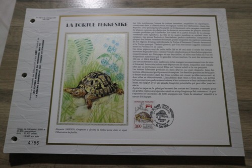 Feuillet cef 1991 1er - 1er, jour