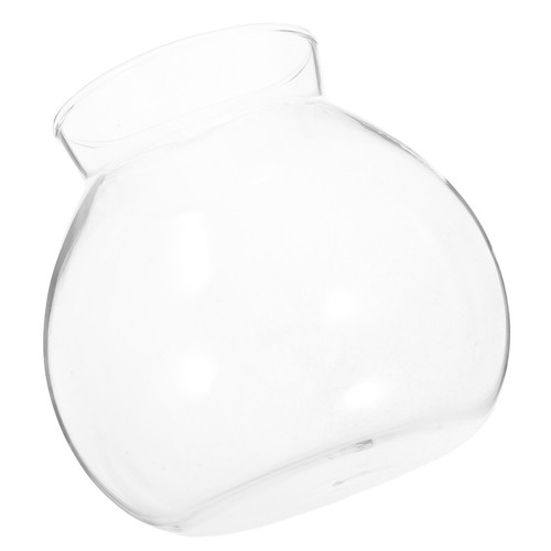 Bouteille plante - bouteille,