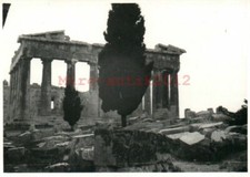Photo, WW2, Athènes 1942 : Arbre de l'immortalité et Acropole 5026-1422