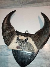 chasse trophée - art populaire  buffle - corne - os  afrique - taxidermie