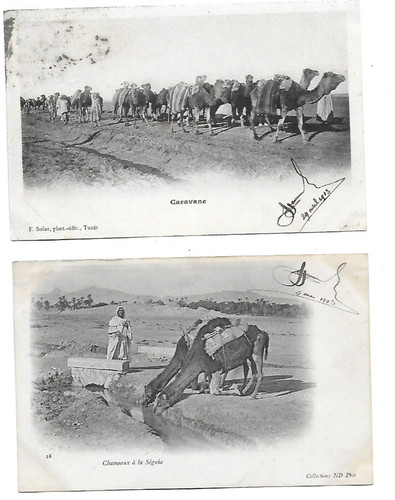 Cpa carte postale ancienne - cpa,