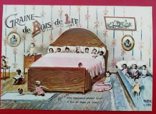 Humour illustré rex - humour,