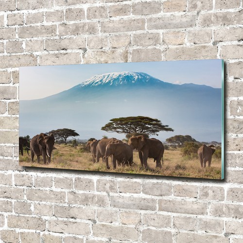 Tulup image sur - sur, verre